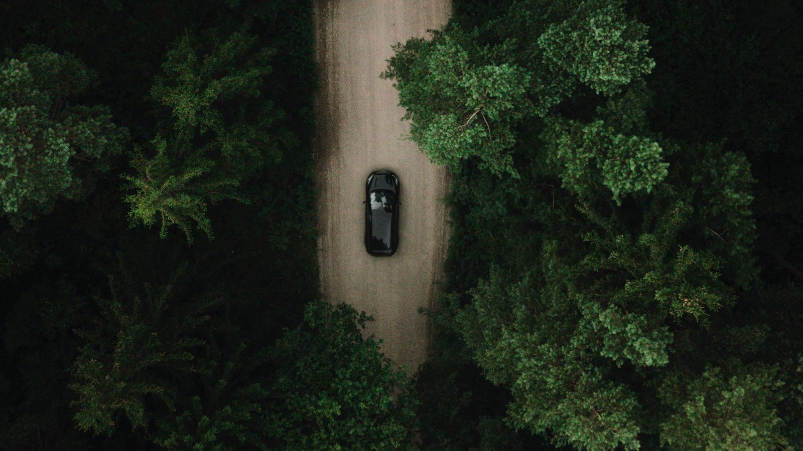 https://api.arval.test.switzerland.xtl.nl/uploads/2025/07/road_car_forest_172377_1600x900.jpg